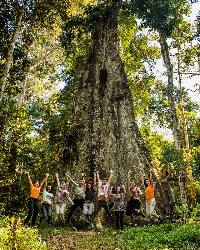 CONECTA VENTURES ARBOL ANTIGUO